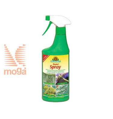 Bild von Raptol | Insektizid-Spray|500 ml|