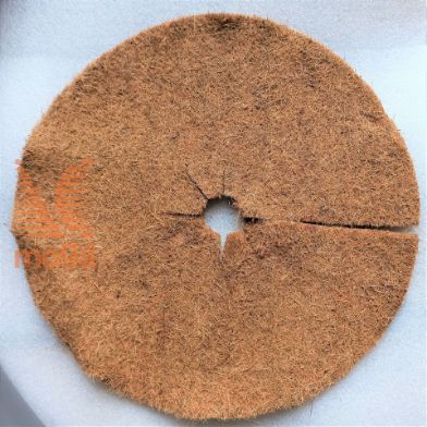 Slika Kokosov disk