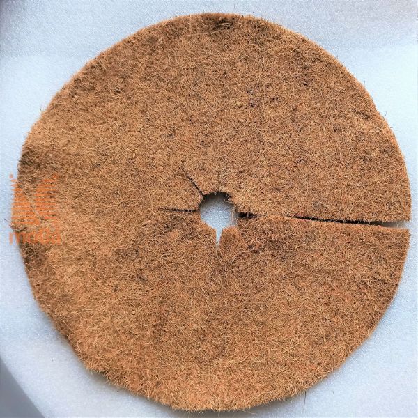 Kokosov disk