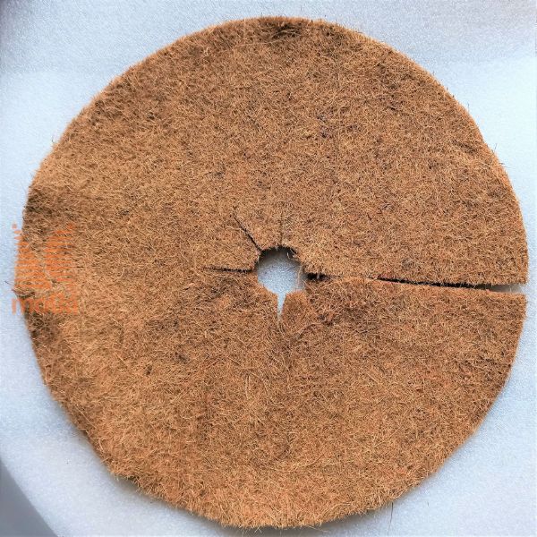 Picture of Coconut disc