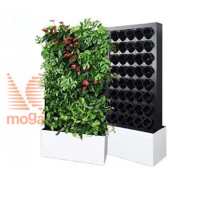 Picture of premium line green walls