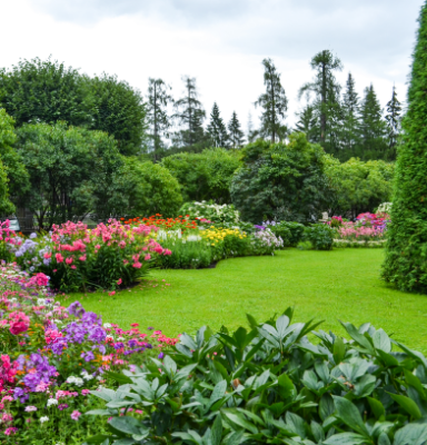 Planting and Landscaping