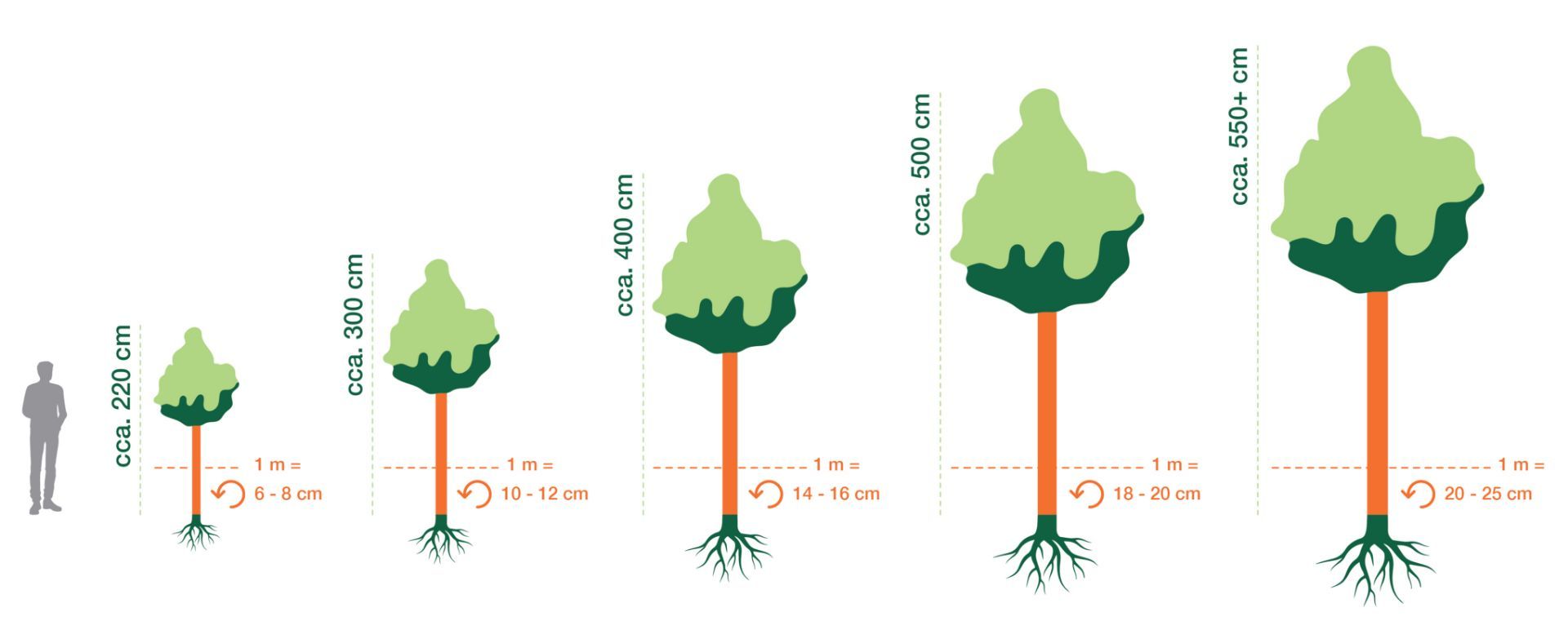 Plants with clean stem · Visokodebelne rastline · Pflanzen mit sauberem Stamm · Visoke biljke