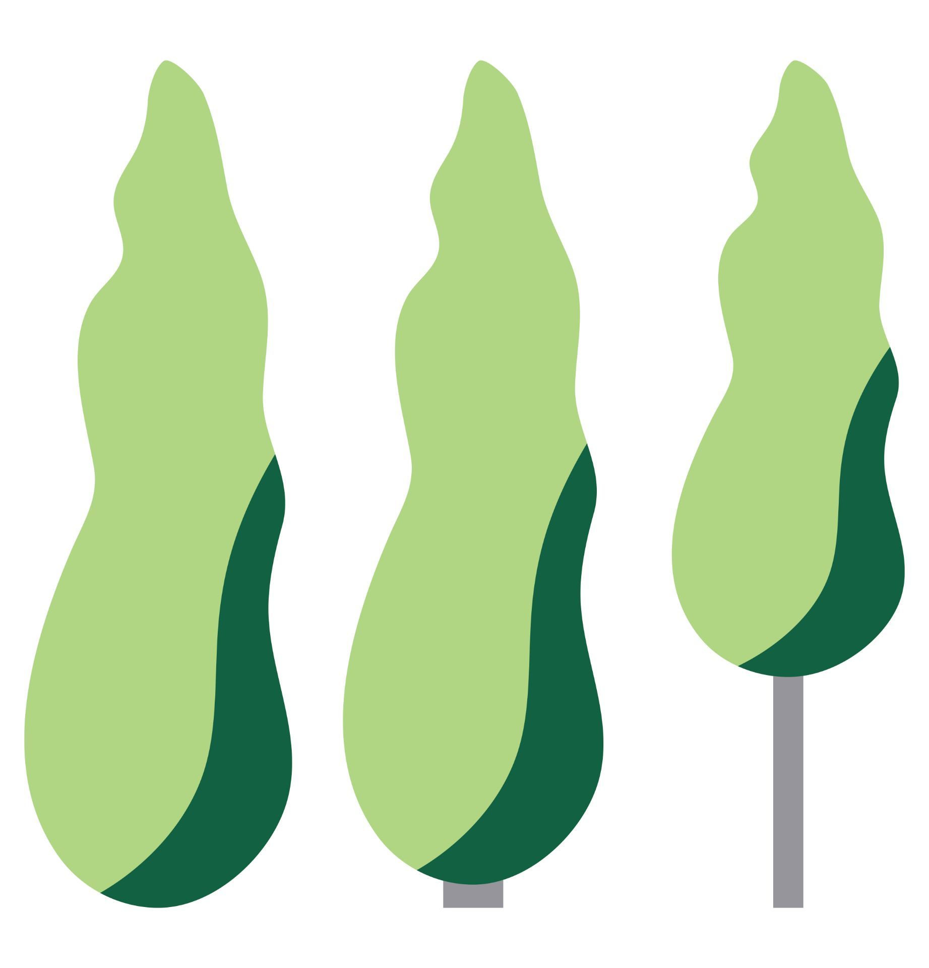 Fastigiata shape · Stebraste rastline · Säulenpflanzen · Stupasto bilje